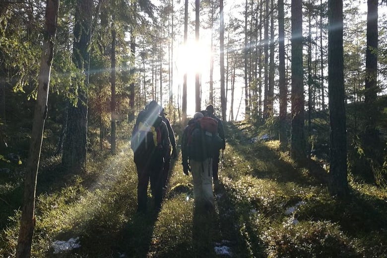 I partecipanti intenti a esplorare i boschi di Stoccolma